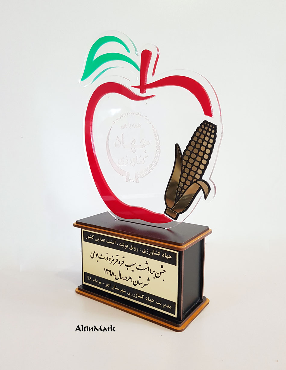 سفارش ساخت تندیس | تندیس شیشه ای | تندیس از جنس چوبی و پلکسی گلس - Image 3