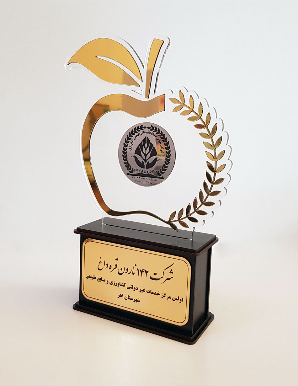 سفارش ساخت تندیس | تندیس شیشه ای | تندیس از جنس چوبی و پلکسی گلس - Image 13