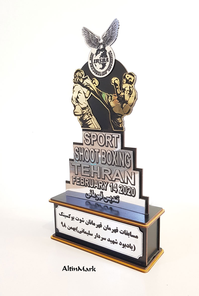 سفارش ساخت تندیس | تندیس شیشه ای | تندیس از جنس چوبی و پلکسی گلس - Image 10